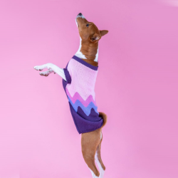 Amiplay Lima rožinis megztinis rūbai šunims, 28 cm