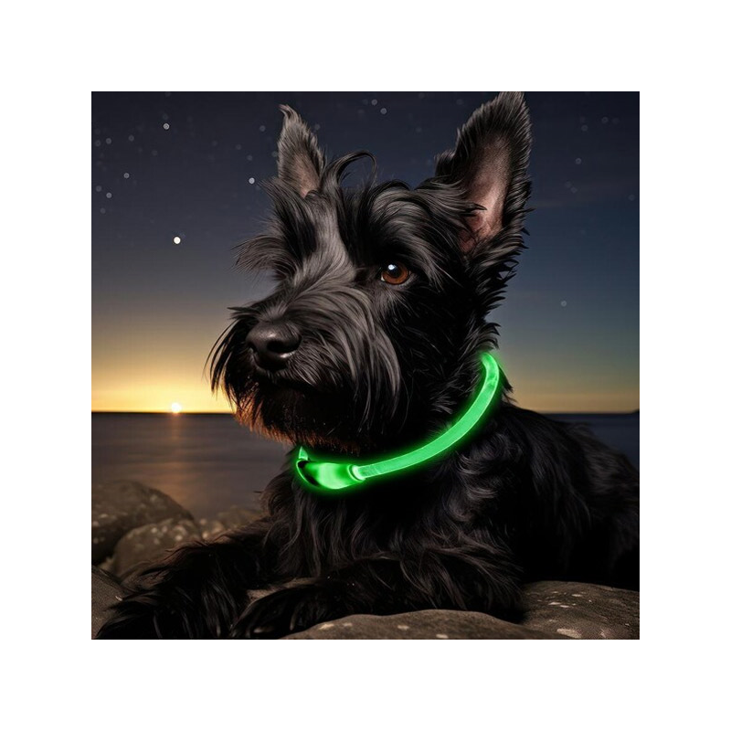 Happet šviečiantis antkaklis šunims, L, 70 cm
