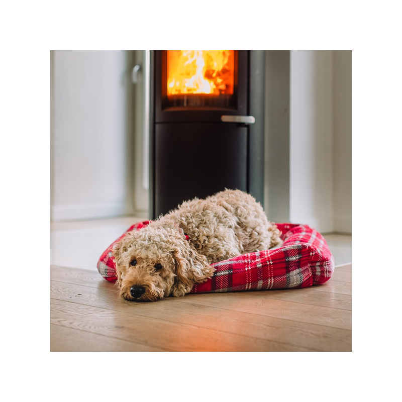 Nobby Kareli guolis šunims ir katėms, 60x60x20 cm