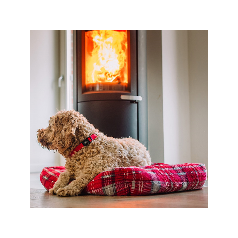 Nobby Kareli guolis šunims ir katėms, 60x60x20 cm