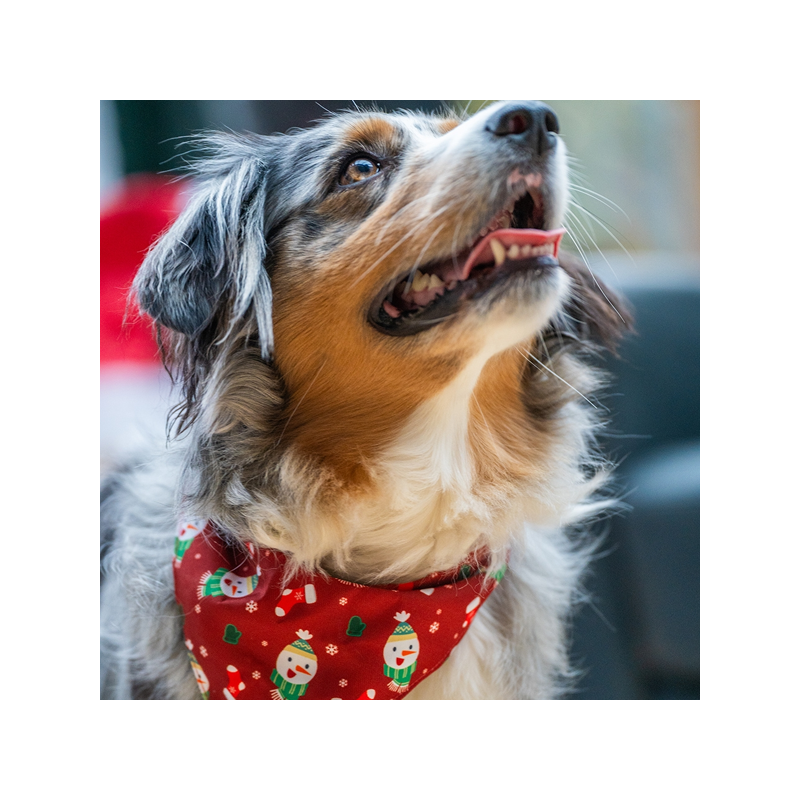 Nobby kalėdinė bandana šuniui, L, 50 cm