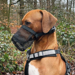 Nobby juodas antsnukis šunims nuo apnuodyto maisto, S/M