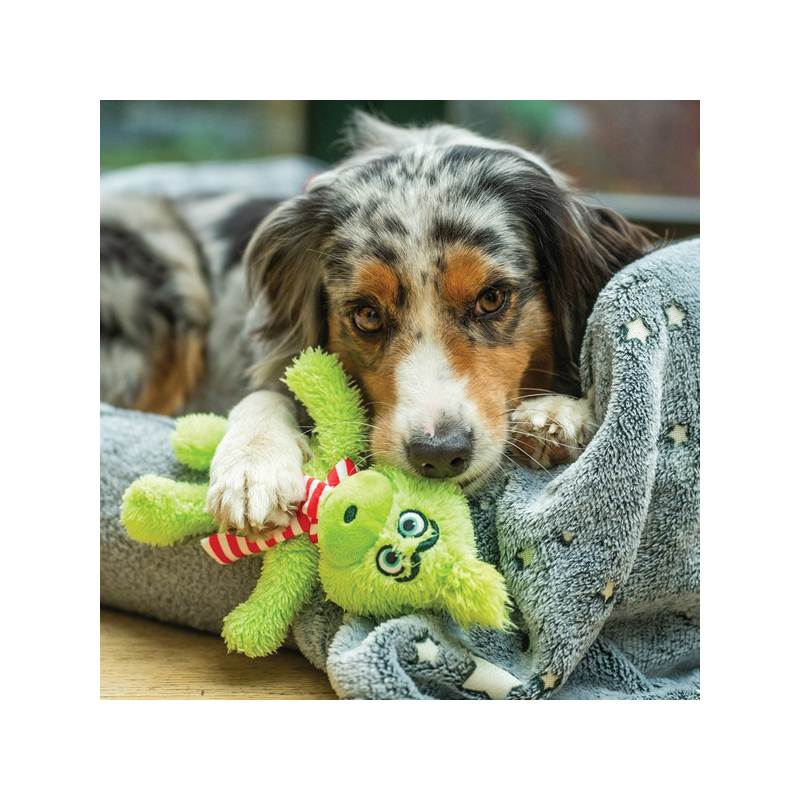 Nobby grinčas pliušinis žaislas šunims, 42 cm