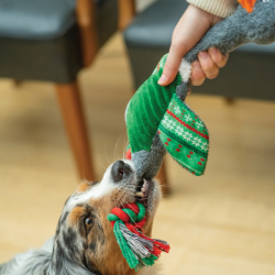 Nobby žąsis pliušinis žaislas šunims