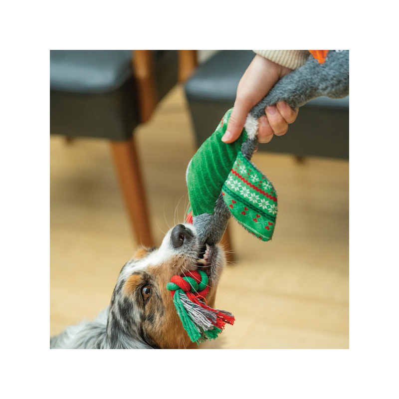 Nobby žąsis pliušinis žaislas šunims