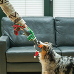 Nobby žąsis pliušinis žaislas šunims