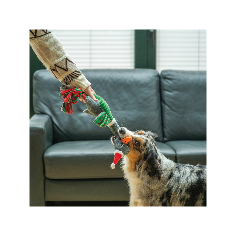 Nobby žąsis pliušinis žaislas šunims