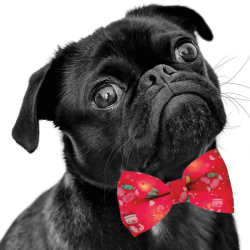 Nobby šviečianti varlytė augintiniui, 10x6 cm