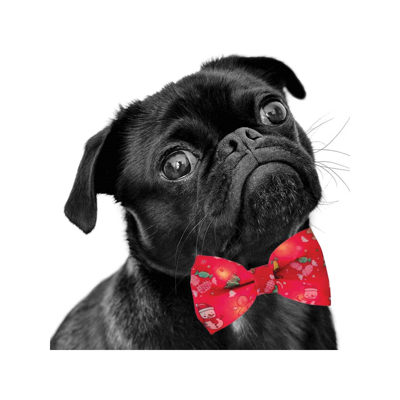 Nobby šviečianti varlytė augintiniui, 10x6 cm