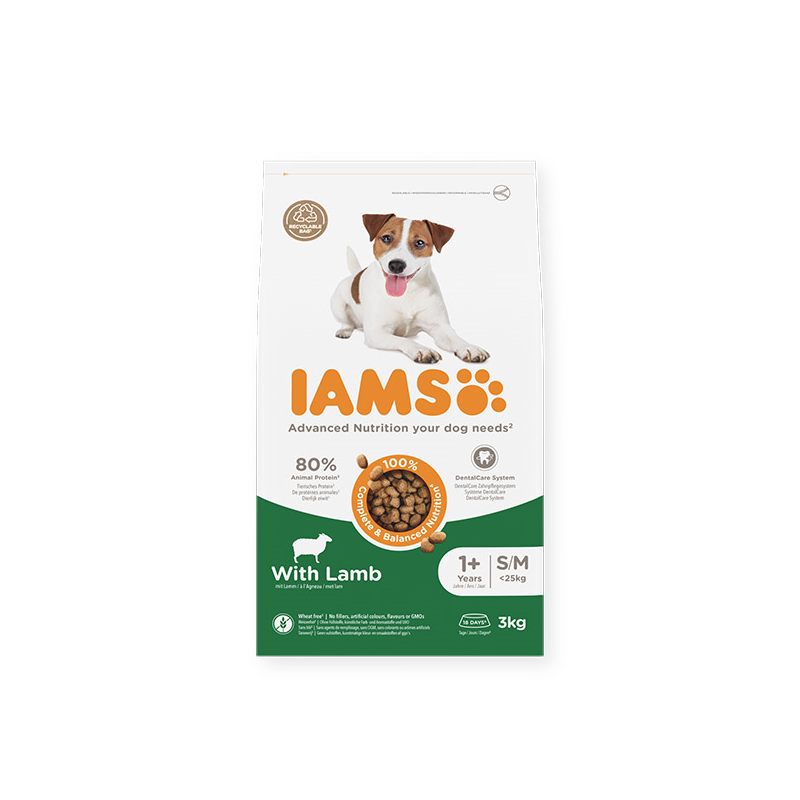 IAMS sausas maistas mažų, vidutinių veislių šunims su ėriena, 3 kg