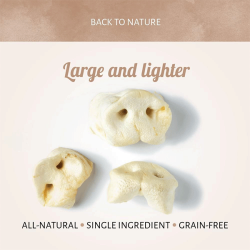 Antos kiaulių knyslės skanėstai šunims, 1 vnt.