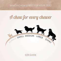 Antos kiaulių knyslės skanėstai šunims, 1 vnt.