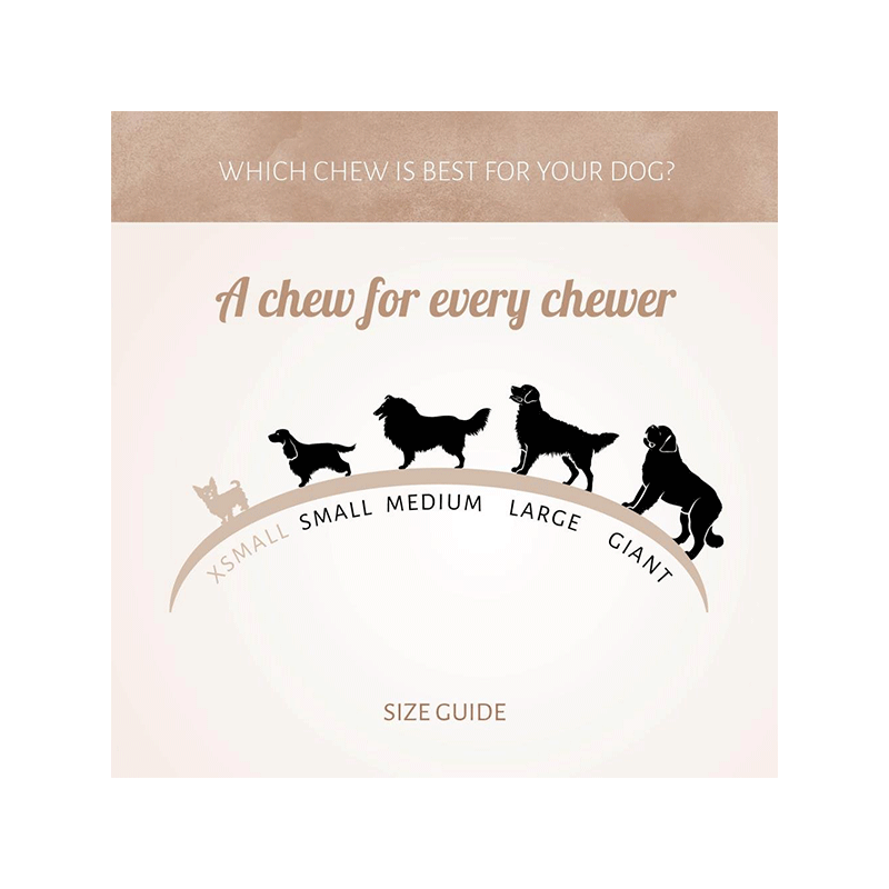 Antos kiaulių knyslės skanėstai šunims, 1 vnt.