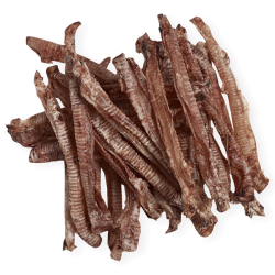 Antos jaučių trachėjos...