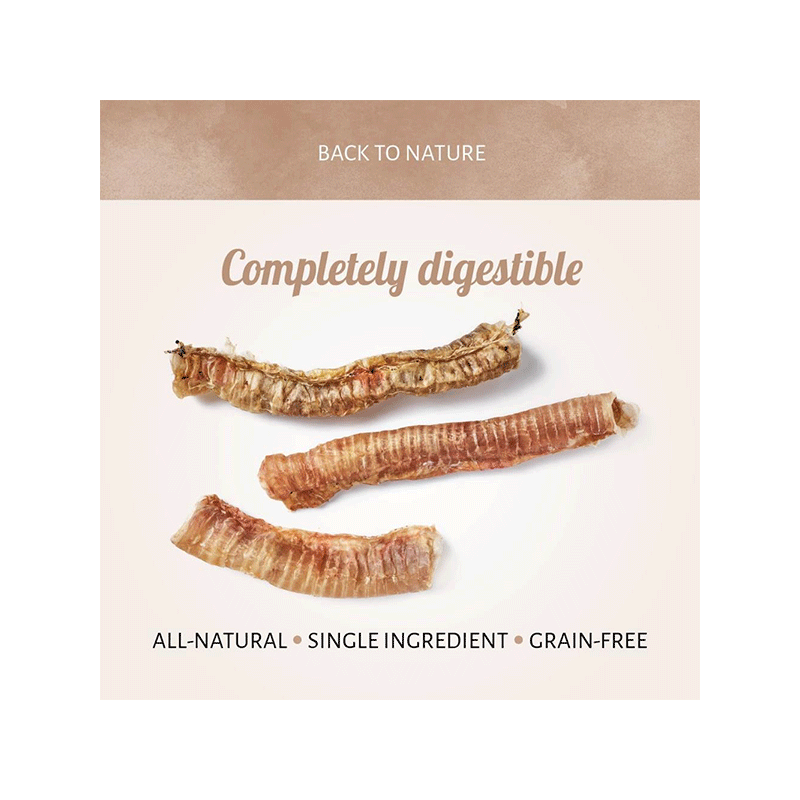 Antos jaučių trachėjos skanėstai šunims, 1 vnt.