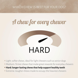 Antos jaučių trachėjos skanėstai šunims, 1 vnt.