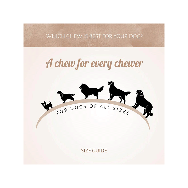 Antos jaučio stemplės skanėstai šunims, 200 g