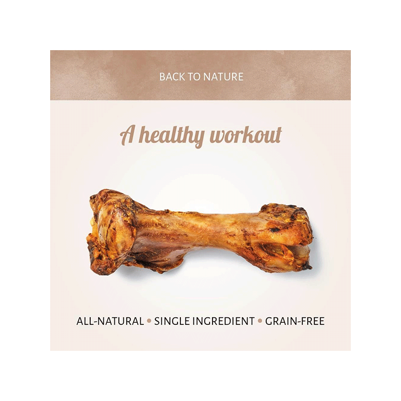 Antos kaulas skanėstas šunims, 2,56 kg