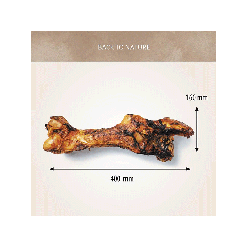 Antos arklienos kaulas skanėstas šunims, 2,5 kg