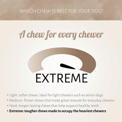 Antos arklienos kaulas skanėstas šunims, 2,5 kg