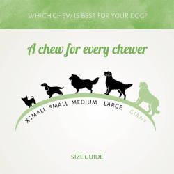 Antos D'light Duck antienos mazgeliai skanėstai šunims, 100 g