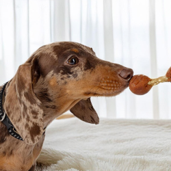 Happet Happ Snack triušienos lazelės skanėstai šunims, 500 g