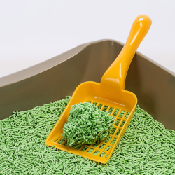 Expertus Tofu kraikas katėms, žaliosios arbatos kvapo, 6 l