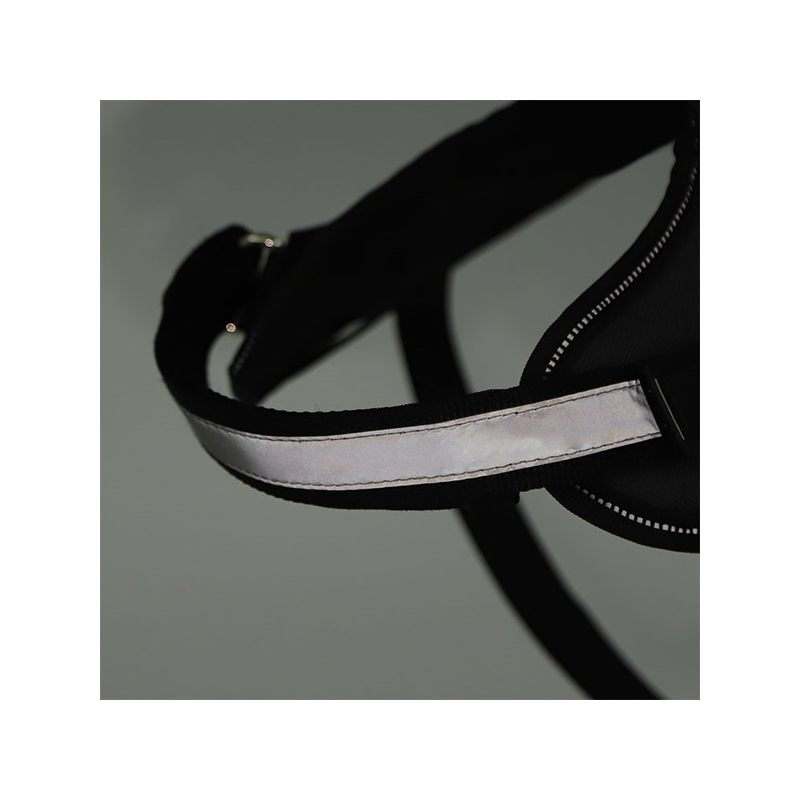 Nobleza juodos petnešos šuniui, M, 56–66 cm