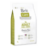 Brit Care Adult Small Breed Lamb & Rice sausas šunų pašaras, 3 kg