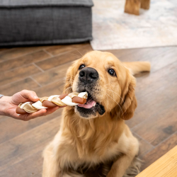 8in1 Delights Chewy Braids skanėstas vidutinių ir didelių veislių šunims, 80 g