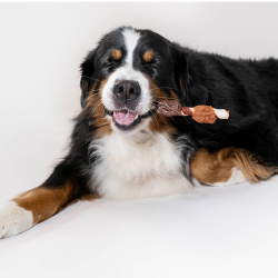 8in1 Flavours Mega Skewers trigubo skonio skanėstas šunims, 160 g