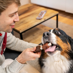 8in1 Flavours Mega Skewers trigubo skonio skanėstas šunims, 160 g