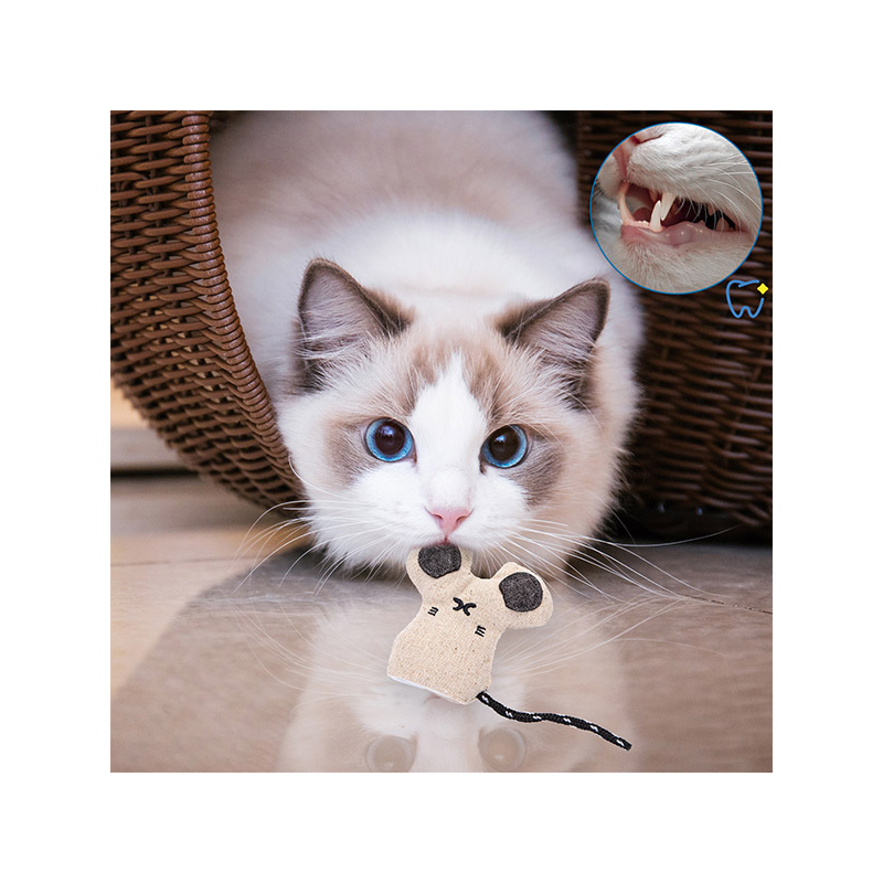 Nobleza pelė su katžole žaislas katėms