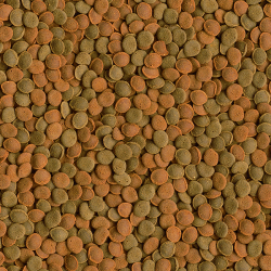 Tetra Wafer Mix pašaras žuvims ir vėžiagyviams, 100 ml