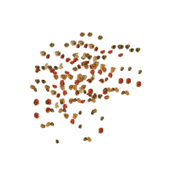 TetraMin Granules pašaras žuvims, 15 g