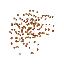 TetraMin Granules pašaras žuvims, 250 ml