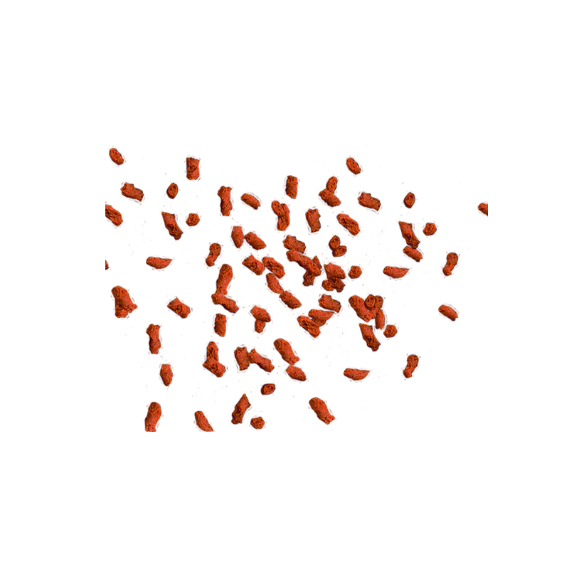 Tetra Discus Granules pašaras žuvims, 15 g