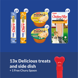 Ciao Gift Box kreminiai skanėstai dovanų rinkinys katėms