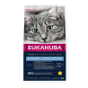Eukanuba Weight Control sausas maistas sterilizuotoms katėms, 2 kg