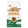 IAMS sausas maistas katėms su ėriena, 2 kg