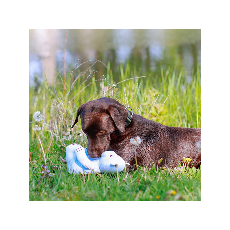Nobby poliarinė meška, plūduriuojantis žaislas šunims