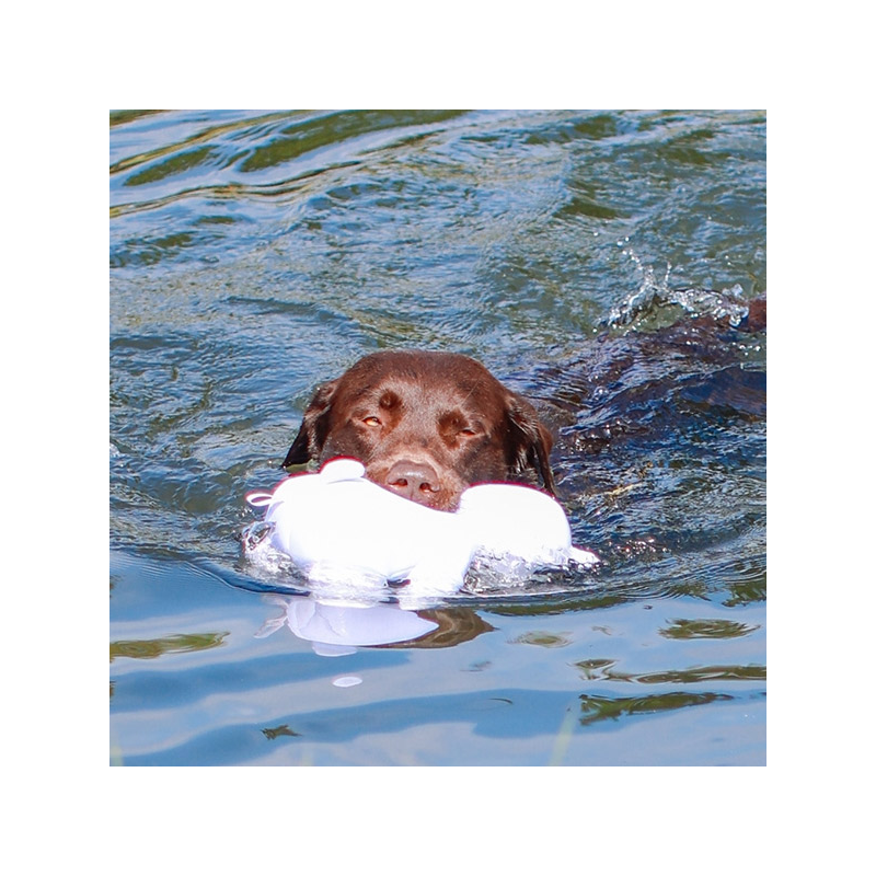 Nobby poliarinė meška, plūduriuojantis žaislas šunims