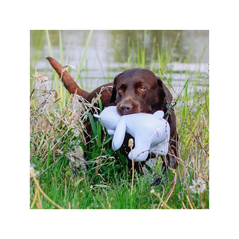 Nobby poliarinė meška, plūduriuojantis žaislas šunims