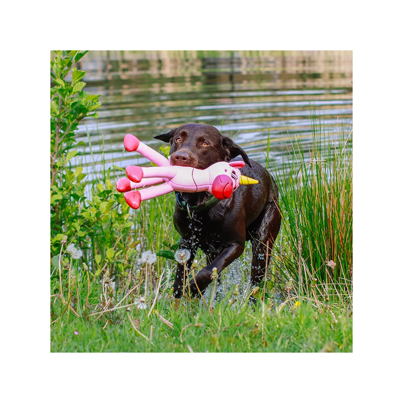 Nobby vienaragis, plūduriuojantis žaislas šunims
