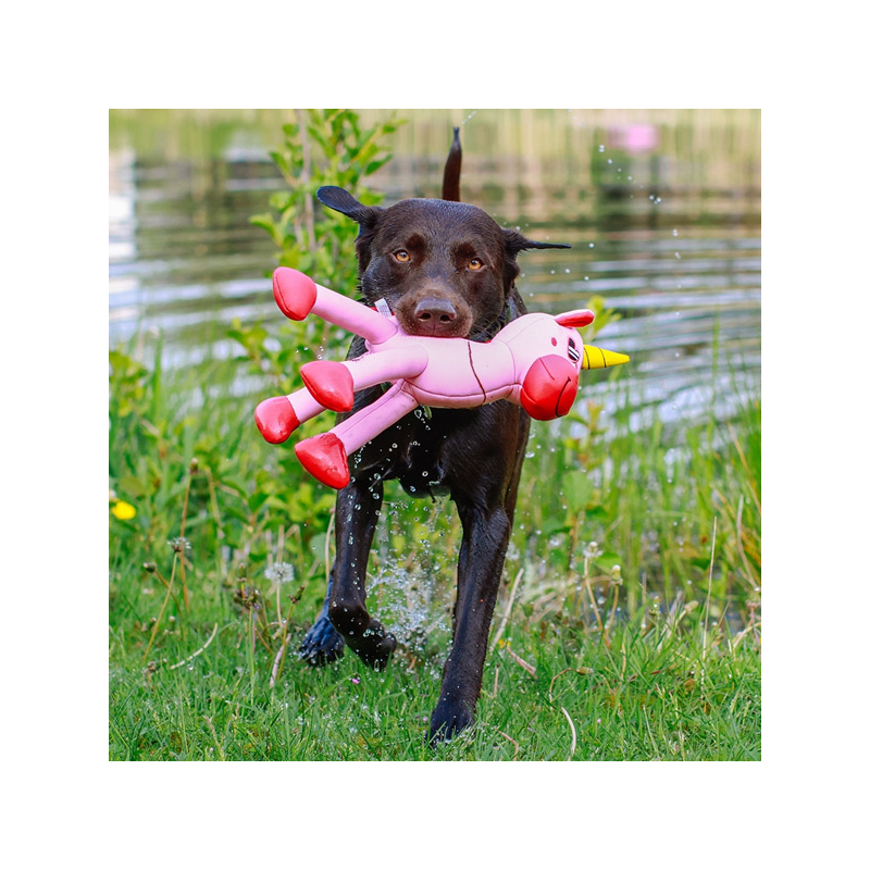 Nobby vienaragis, plūduriuojantis žaislas šunims