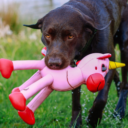 Nobby vienaragis, plūduriuojantis žaislas šunims