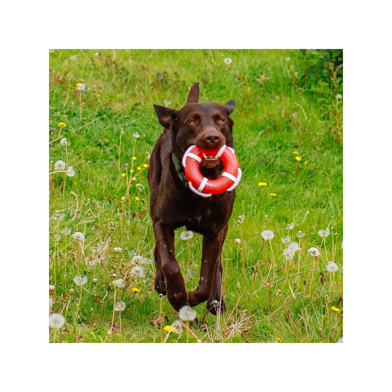 Nobby gelbėjimosi ratas su virve, plūduriuojantis žaislas šunims