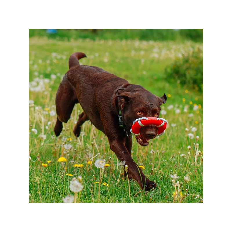 Nobby gelbėjimosi ratas su virve, plūduriuojantis žaislas šunims