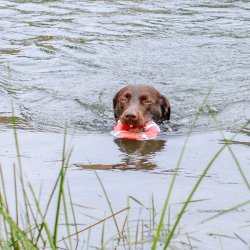 Nobby gelbėjimosi ratas su virve, plūduriuojantis žaislas šunims