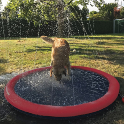 Nobby raudonas baseinas...